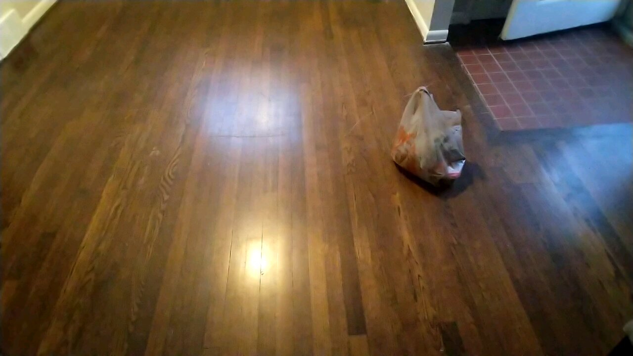 Making Scratches in Wood Floor Disappear on Marlene St