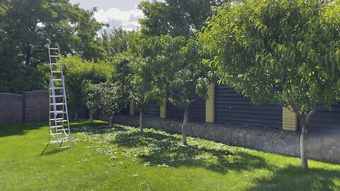 Pruning on green…