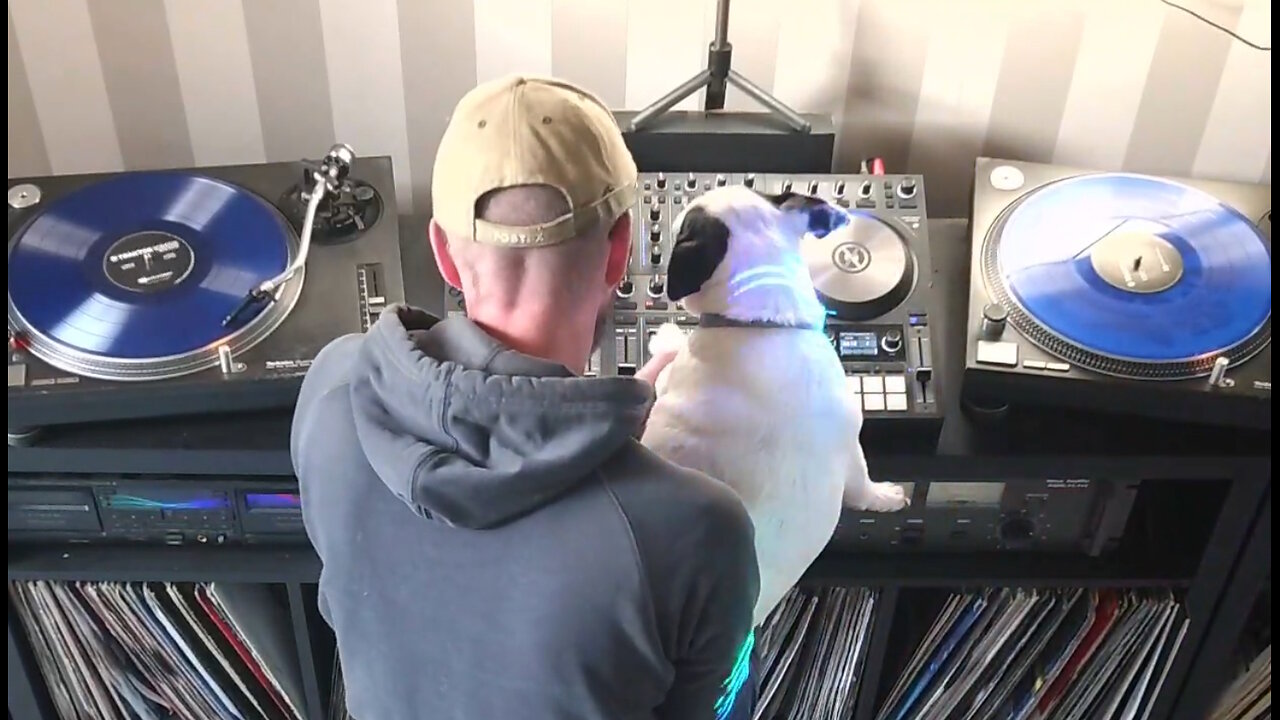 Dj Grizzly Live (with digital Vinyl)