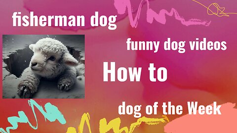 malvated dog didnt give UP on the stairs
