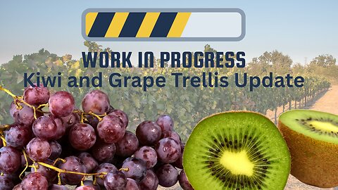Kiwi and Grape Trellis Update