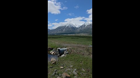 MINDEN NV.