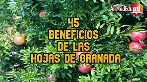 45 Beneficios de las Hojas de Granada