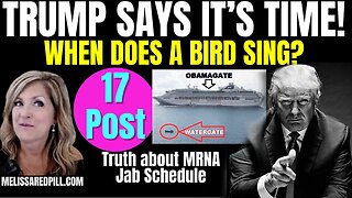 Melissa Redpill Situation Update 07.23.25: "Trump - It's Time! Bird Sing? Obamagate"
