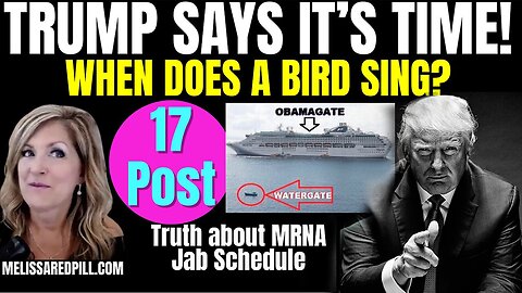 Melissa Redpill Situation Update 07.23.25: "Trump - It's Time! Bird Sing? Obamagate"