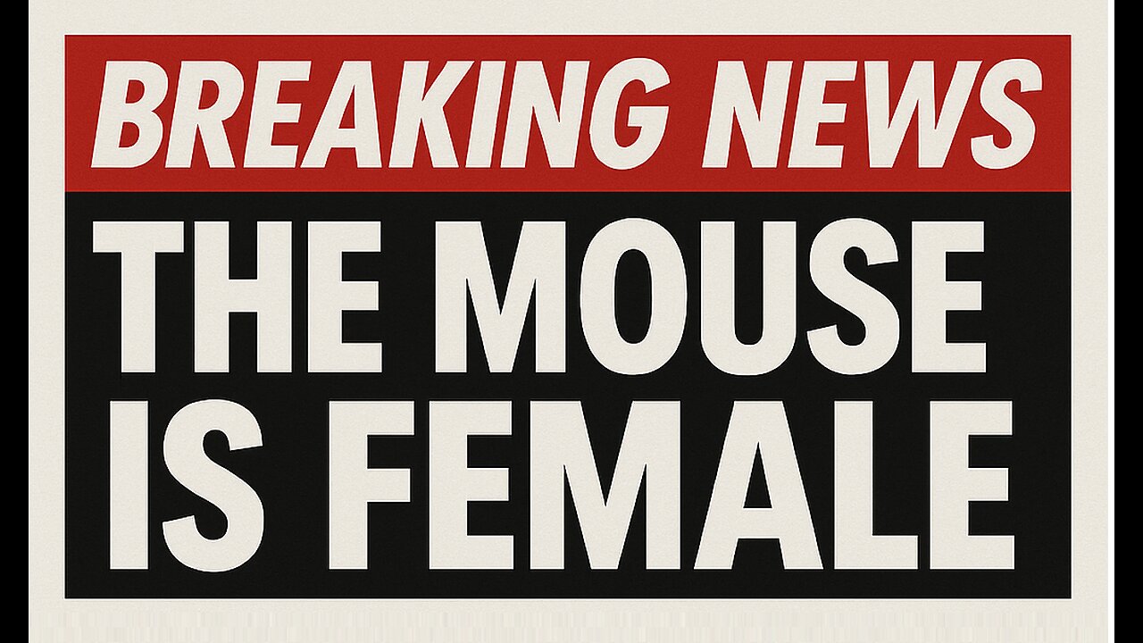 MattTaylorTV! Breaking News.