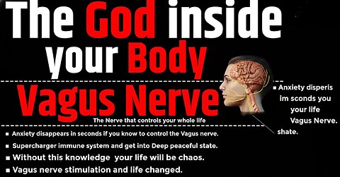 Your God Inside Your Body – The Vagus Nerve (Revealed by SaurabhZone)