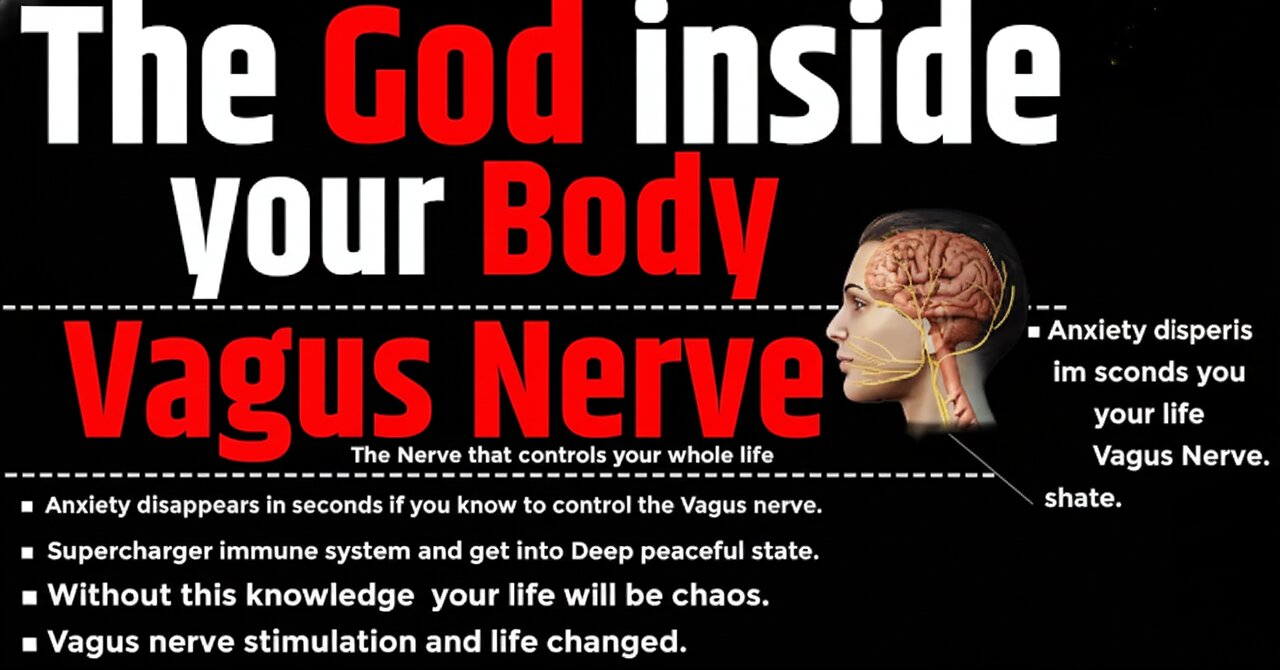 Your God Inside Your Body – The Vagus Nerve (Revealed by SaurabhZone)