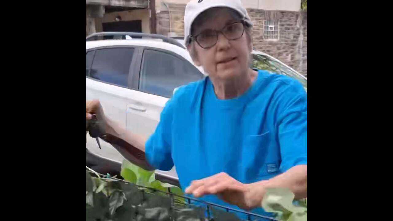 Una mujer se mete en jardín ajeno, molesta por una piscina