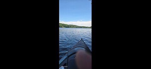 live kayaking
