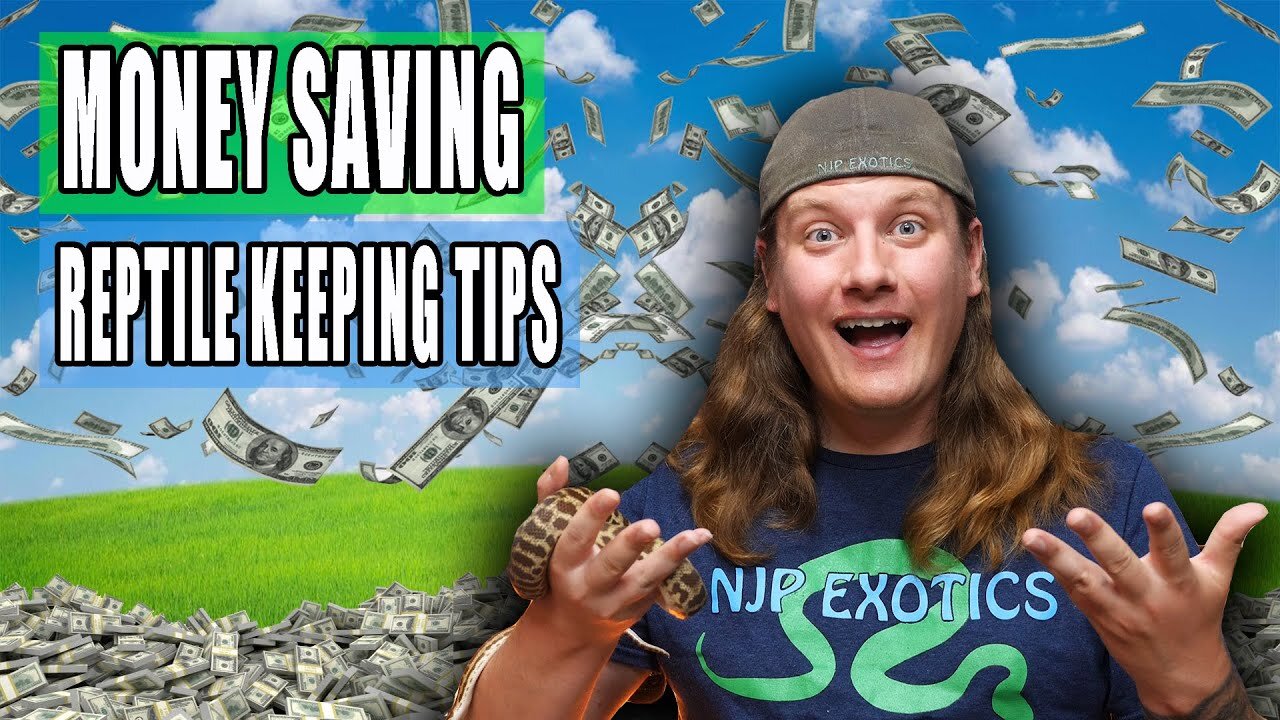 SAVE MONEY Keeping Reptiles!