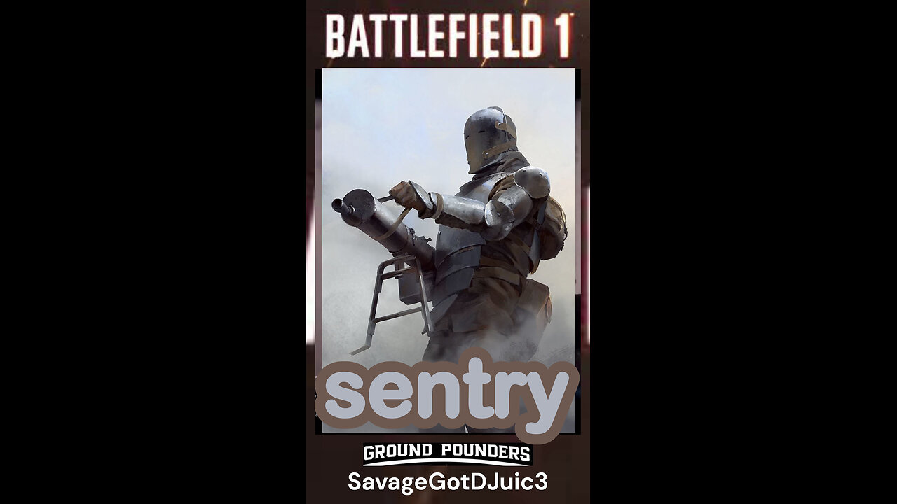 sentry
