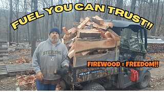 Why MILLIONS Still Heat with Wood — The Stats Will Blow Your Mind!