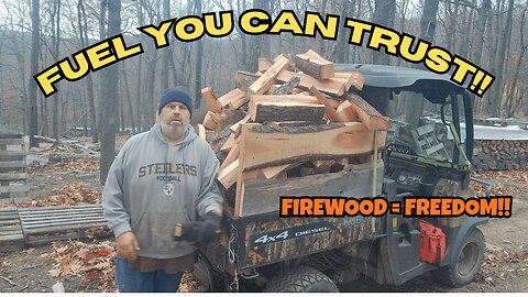 Why MILLIONS Still Heat with Wood — The Stats Will Blow Your Mind!