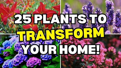 25 Stunning Plants to Turn Your Home from Dull to Dazzling! G17