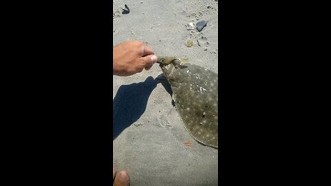 MEAN LIL F'N FLUKE