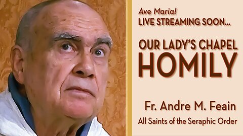 All Saints of the Seraphic Order - November 29, 2025