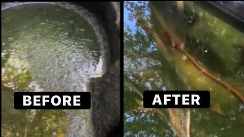"Optimize Water Clarity: Preventing Algae Growth using Copper Rods"