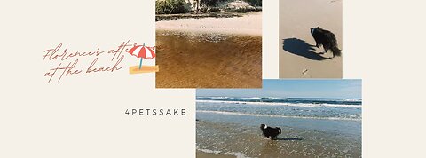 Florence - Beach afternoon 😊