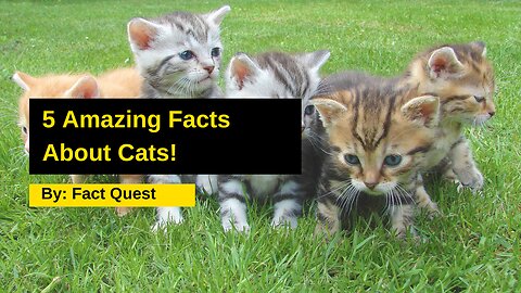 5 Amazing Facts About Cats!