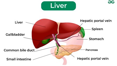 LIVER HEALTH & Oranges