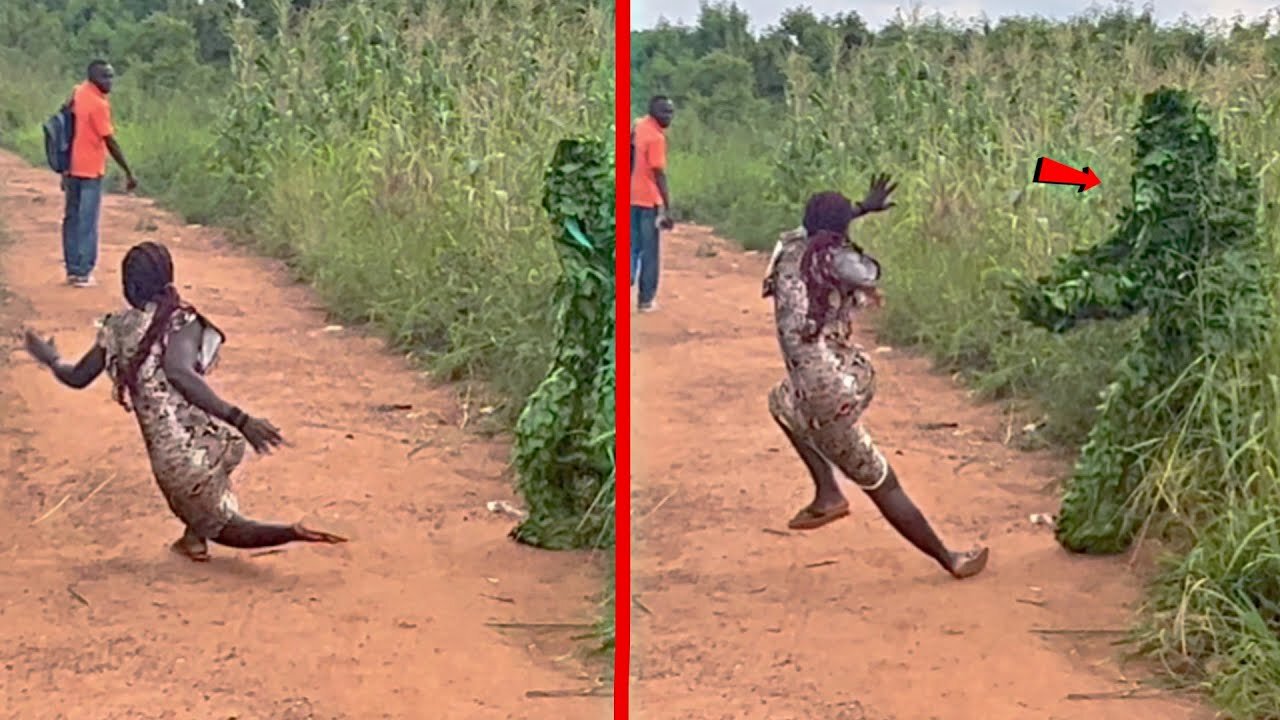 Bush prank gone wrong