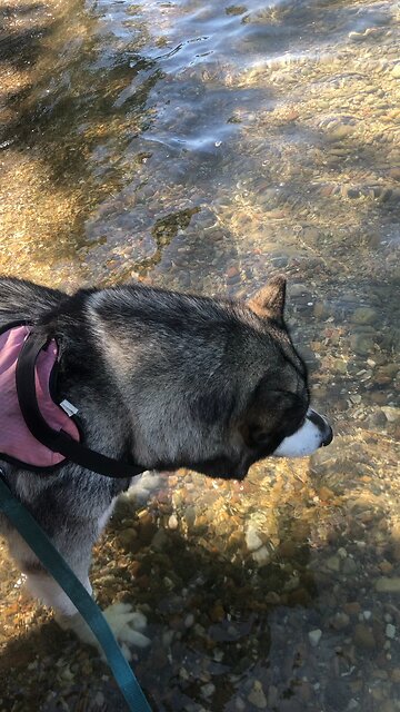 Wednesday August 20, Be warned, there is no end of opinions ready to be expressed.