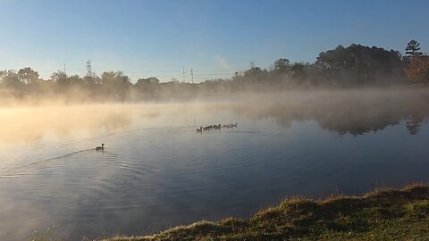 A Cold, Foggy Morning Walk