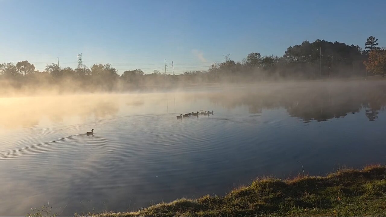A Cold, Foggy Morning Walk