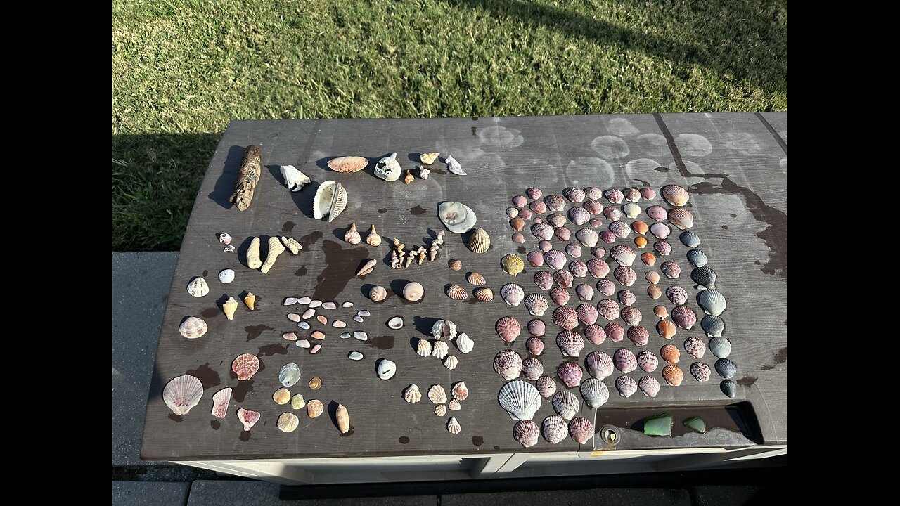 Beach Finds 4/22/2025 | 4K