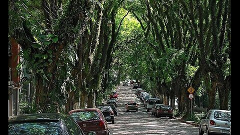 DUOLINGO STUDIARE CON LE RAGAZZE 🗿🐲😁♥️