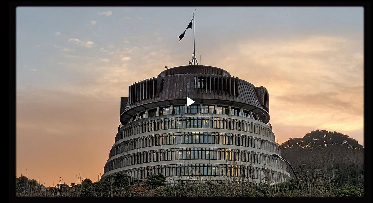 REESE REPORT - Forensic Study Finds That Christchurch Mosque Shooting was Staged