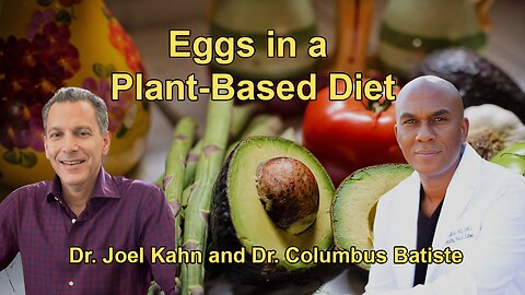 Discussion Addressing Concerns About Consuming Eggs in a Primarily Plant-Based Diet