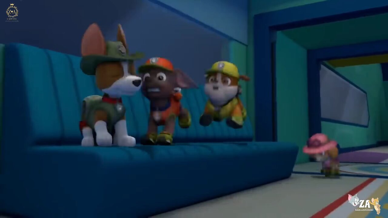 PAW Patrol Cartoons