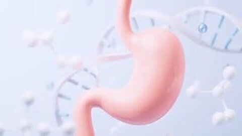 "Understanding the Digestive Tract - Dr. Eric Berg's Guide to How Digestion Works"