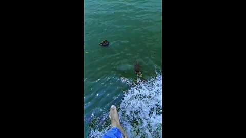 তোমার কুলে ভেঙে পড়া ঢেউয়ের মানে কি? 🙂