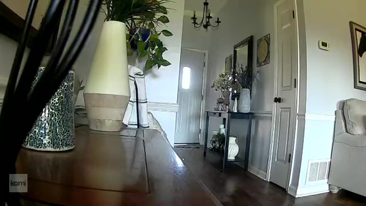 Deer in USA