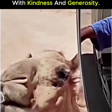 What you put out into the world always comes back