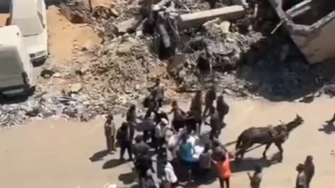 Gaza: Hamas steal food aid from looters, and sell it