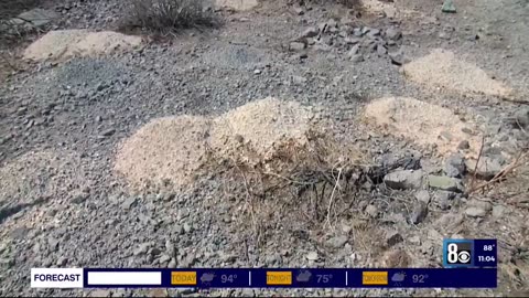 More than 100 piles of cremated human remains have been uncovered in the...