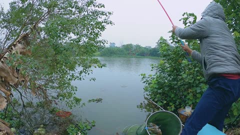 Bass Hunting Secrets for Quiet Lake Shores