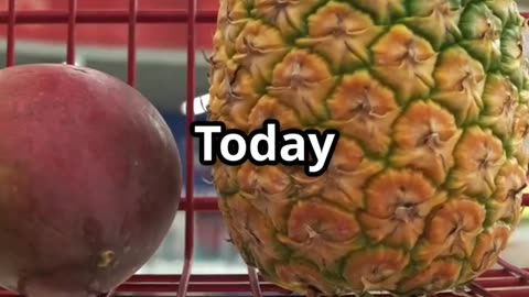 Top 5 Healthiest Fruits You Need!