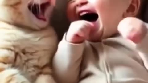 Baby Farts & Both Baby and Cat Laugh – Funniest Moment!