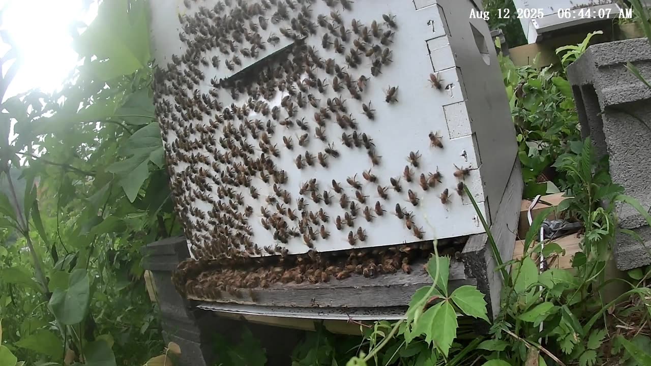 Tuesday Morning Sunrise