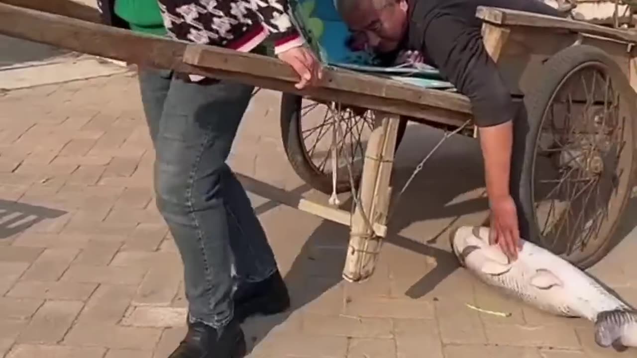 Chinese Funny Video🤣🤣🤣 So Funny/New Video #funny #game #funnyvideo