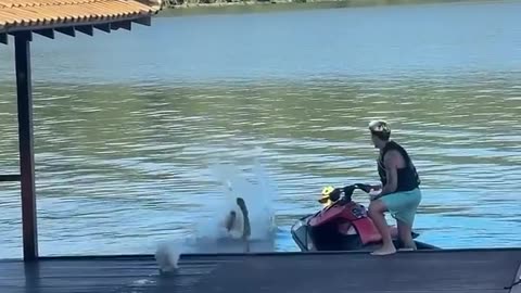 Try Not To Laugh!