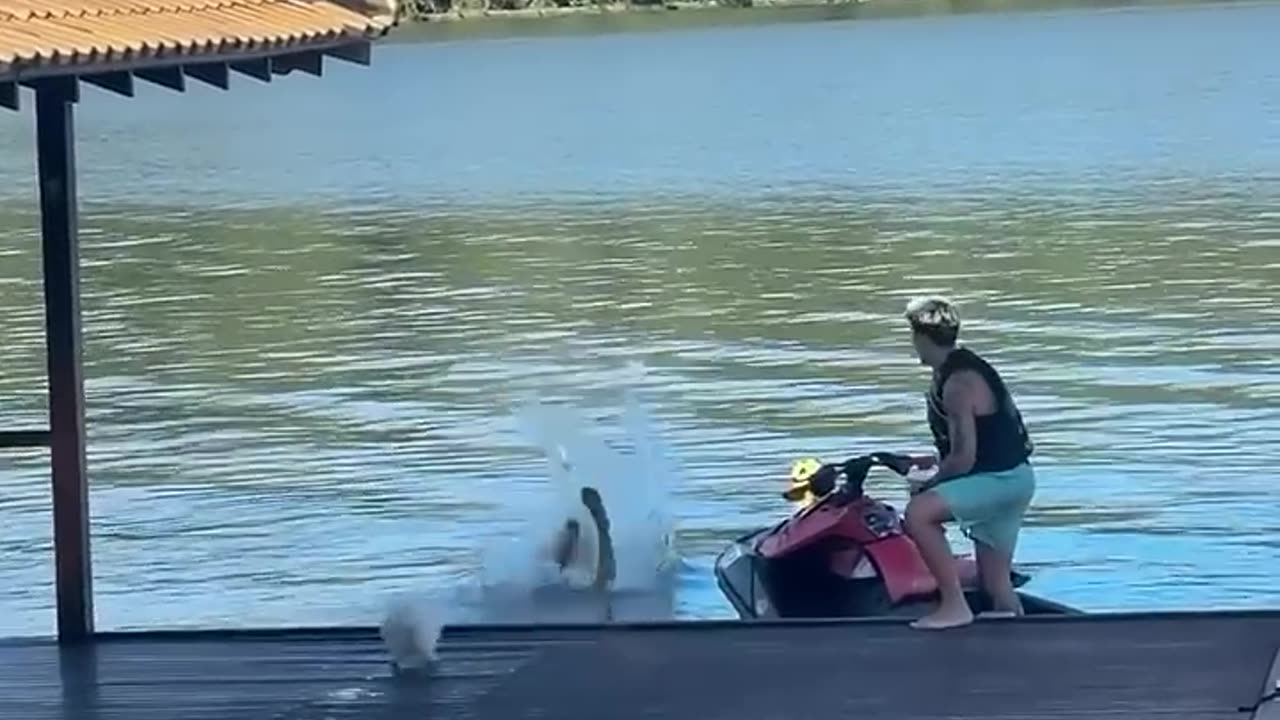 Try Not To Laugh!