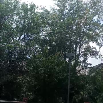 My lil piece of water pool fix