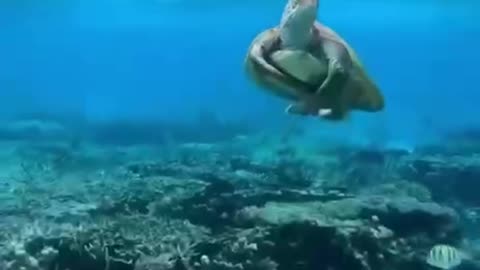 wonders of the world