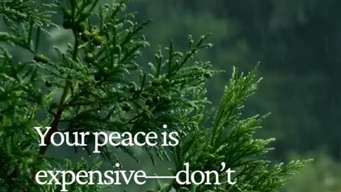 Protect Your Peace — Attention Isn’t Worth Your Sanity